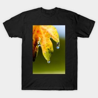 Droplets on Autumn Maple Leaf T-Shirt